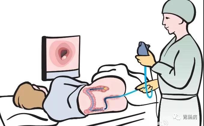 “胃”你好嗎？“腸”來(lái)看看！