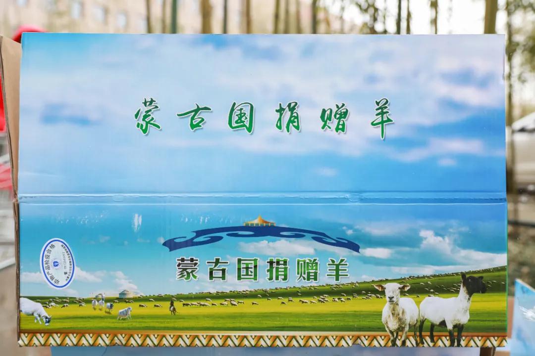 援鄂醫(yī)療隊(duì)：“暖羊羊”來啦！