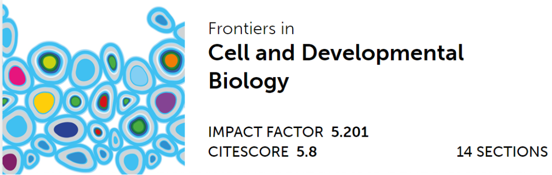 心臟病醫(yī)院王海昌院長科研團隊在心肌病研究領域有新突破！