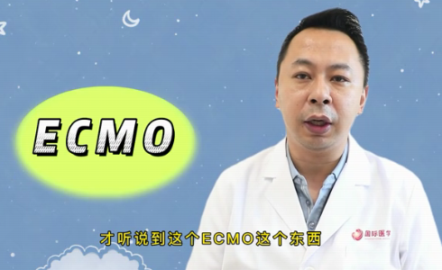 什么是ECMO？