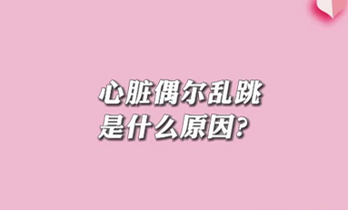 【名醫(yī)面對(duì)面之心臟100問】心臟偶爾亂跳是什么原因？