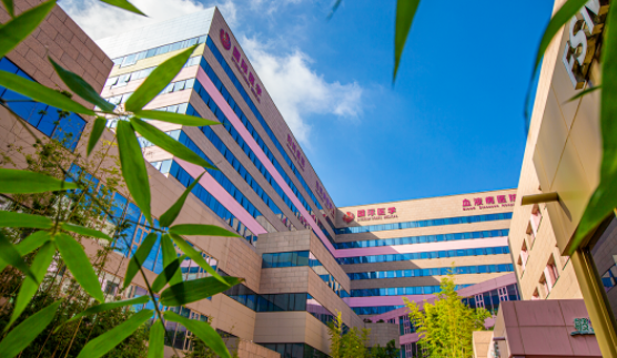 國醫(yī)四味：竹林、紫杉、桂花、銀杏，還有那……